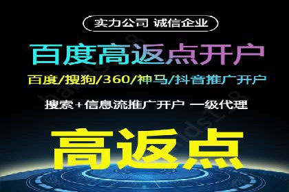 某行业领先企业背后的百度推广代理商策略